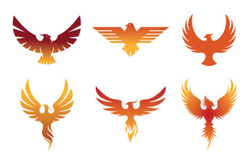 Creative pheonix birds collection logo design symbol vector illustration