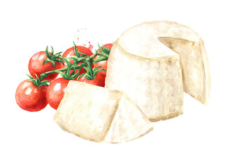 Ricotta homemade soft cheese with cherry tomatoes. Hand  drawn watercolor illustration isolated on white background