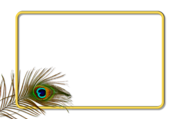 golden frame with colorful peacock feather texture design cutout in transparent background,png format