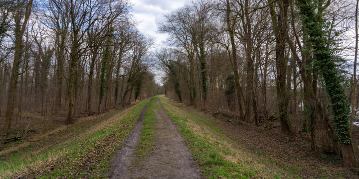 Waldwege