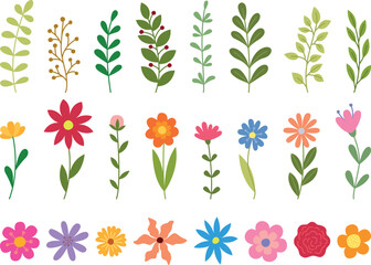 Vector set of various botanical elements. Collection of colorful  flowers and leaves.