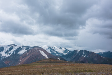 Dramatic view from stony pass with mosses, grasses and flowers to large mountain range with snow-capped pinnacle in gray cloudy sky. Atmospheric silhouettes of big snowy mountains in rainy weather.