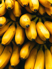 Close-up of Fresh Yellow Bananas Ready for Market