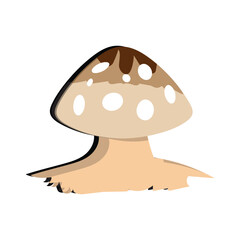 Mushroom flat design cartoon different mushrooms vector illustration, wild mushroom symbol signs, Amanita poisonous. Eps 10
