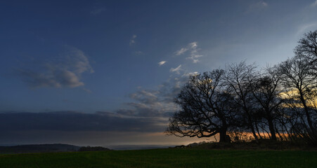 Abendlicher Sonnenuntergang am Feld mit alter Eiche