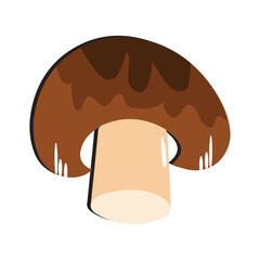 Mushroom flat design cartoon different mushrooms vector illustration, wild mushroom symbol signs, Amanita poisonous. Eps 10