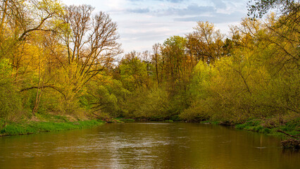 A river in an autumn forest. 
Autumn forest river landscape. 