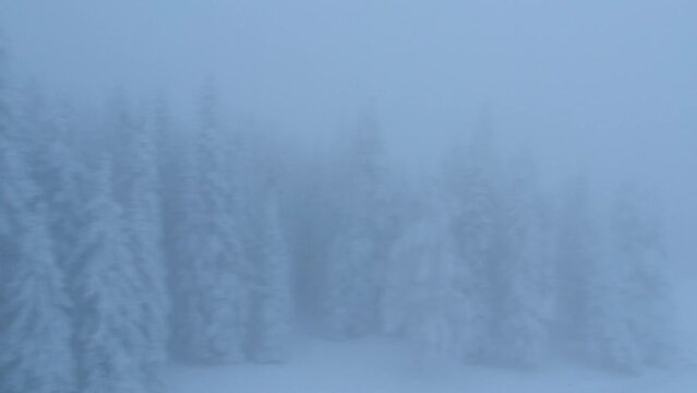 Aerial shot of frozen forest in Lapland with misty snowy weather