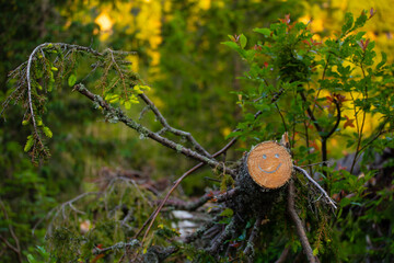 Cheer up! It’s a smiling face on a spruce tree trunk!