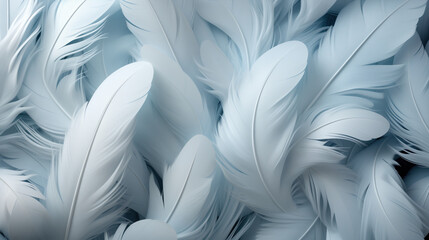 white feathers background - obrazy, fototapety, plakaty