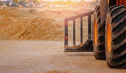 Tractor with pitchfork working with unloading silage at dairy farm, compacting fresh harvest...