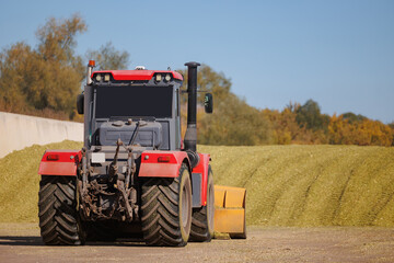 Tractor unloading silage on farm, Fermented feed for food of cow. Compacting silo from fresh harvest chopped maize