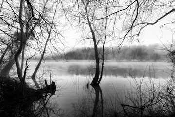 Foggy morning along the  Seine river in Champagne-sur-Seine village