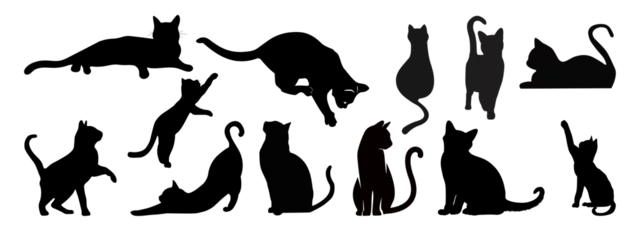 Fotobehang silhouettes of animals   cat silhouette   silhouette   © Hasina