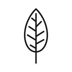 Leaf simple line icon.
