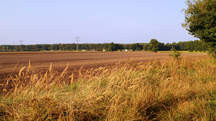 Feld nach der Ernte, vor neuer Saat