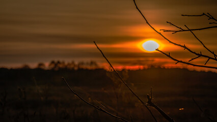 ASutumn sunset seen through trees in Podlasie.