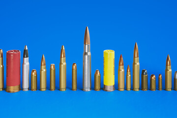 A wide array of ammunition bullets and shells, neatly lined up in a row.