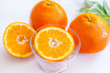 半分にカットした伊予柑