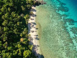 Beach with coconut trees and white sand with sun reflection. Bang-og Island in Romblon, Romblon. Philippines.