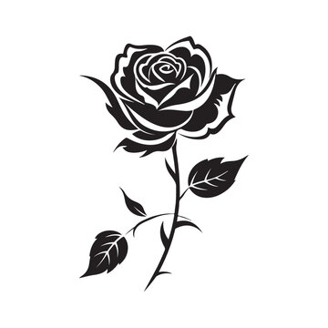 black rose silhouette, icon vector illustration on white background