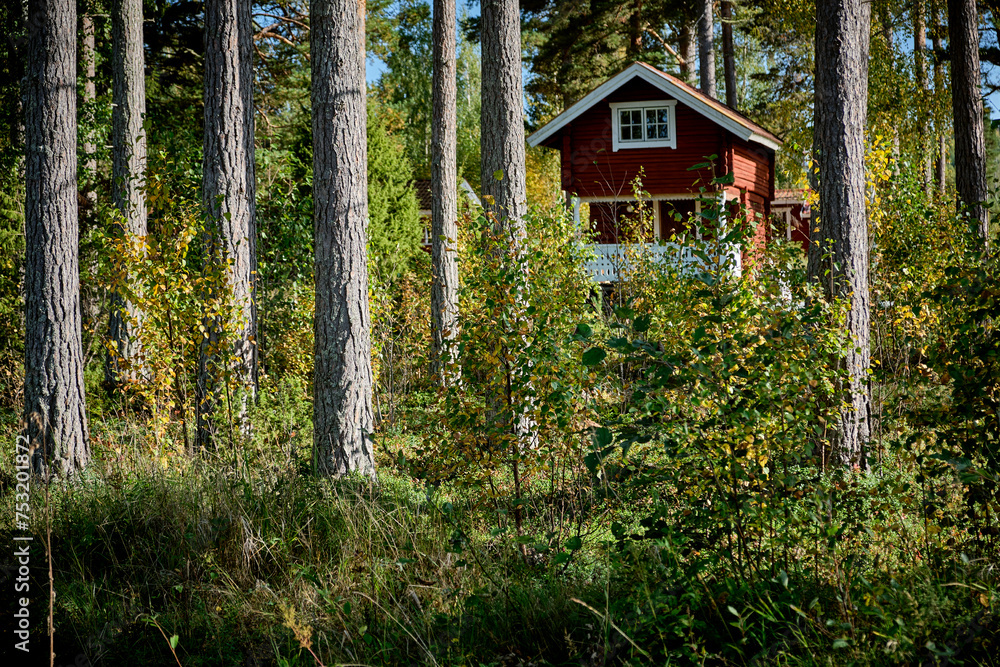 Poster Red house nestled among green trees in a forest, Sweden