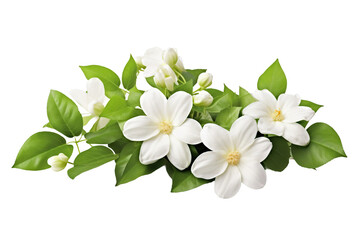Naklejka na ściany i meble White flowers icon, 3D render style, isolated on white or transparent background.