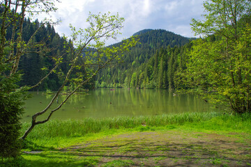Lacu Rosu lake in Transylvania, Romania, Europe. Lacu Rosu is a popular travel destination in Romania, close to Cheile Bicazului and Ceahlau Mountains. Red lake is a natural barrier dam lake