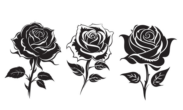 set of rose flowers silhouette, vector illustration on white background