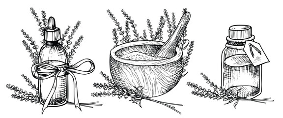 Lavender Essential Oil. Hand drawn linear vector illustration of vintage Bottle, mortar and pestle for aromatherapy in black and white colors. Drawing of Flacon with Flowers for cosmetic or medicine.