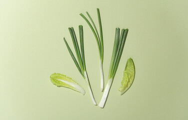 Green onions, lettuce on a green background. Healthy food, vegetarianism. Flat lay