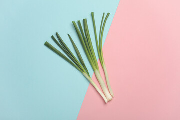 Green onions on a pink blue background. Healthy food, vegetarianism. Flat lay