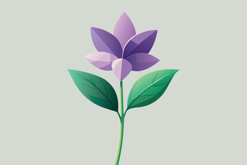 Liac Flower Vector Illustration