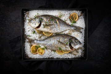 Two fresh steamed gilthead seabreams in salt crust with lemon slices and herbs served as top view...