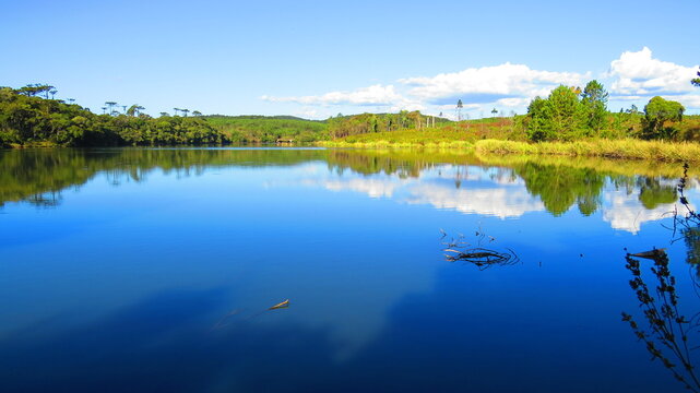 Imagens variadas da natureza