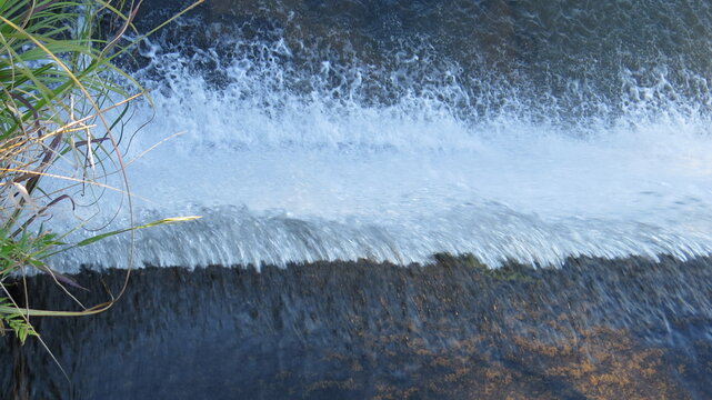 Imagens variadas da natureza