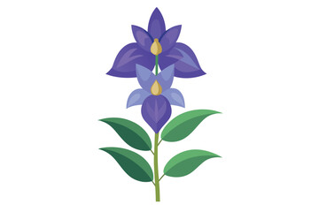 Monkshood Flower Vector Illustration