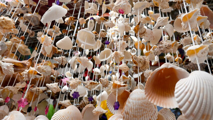 texture of shells. handicrafts made with sea shells