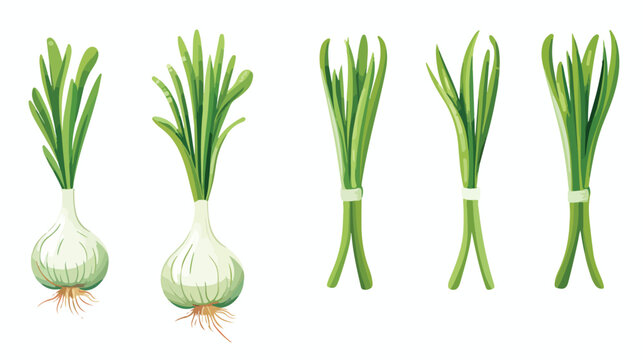 Spring onions freehand draw cartoon vector illustrat