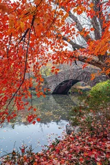 Papier Peint photo Pont de Gapstow Gapstow Bridge in Central Park,late autumn