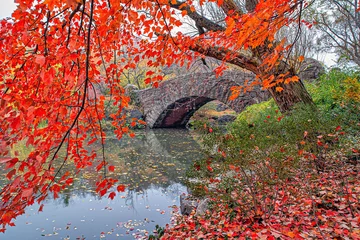 Fotobehang Gapstow Brug Gapstow Bridge in Central Park,late autumn