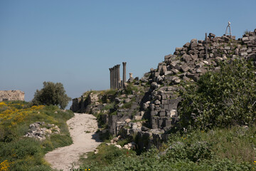 Fototapeta premium Ruins of Qasr al -Аbd Jordan on a sunny winter day