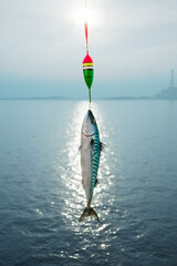 Fresh Mackerel Fish Dangling from Bright Fishing Float Against Ocean © Dabarti