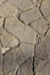 dry cracked ground