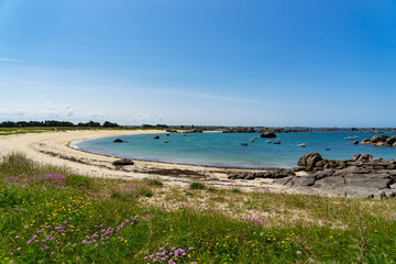 Plage de sable blanc, dunes verdoyantes et Armérie maritime en fleurs : la beauté naturelle du...