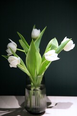 White tulips in a gray glass vase against a green wall