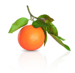 Tangerine or clementine with green leaf isolated on transparent background png file. Single mandarin with green leaf isolated on transparent background