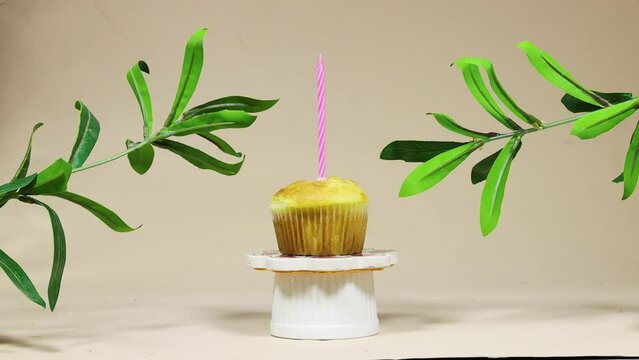 Hand woman lighting a candle of birthday cupcake or madeleine above podium stand with ruscus plants