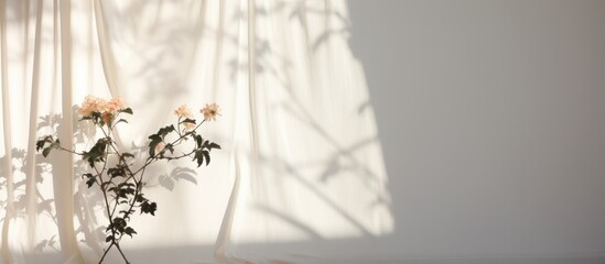 Curtain shadow and blooming flowers on a white wall