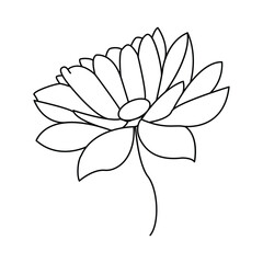 Lotus single continuous one line out line vector art  drawing  and tattoo design
